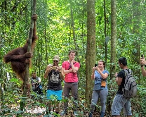 Bukit Lawang  — slide 2